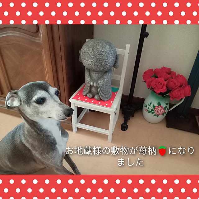 moruさんの部屋