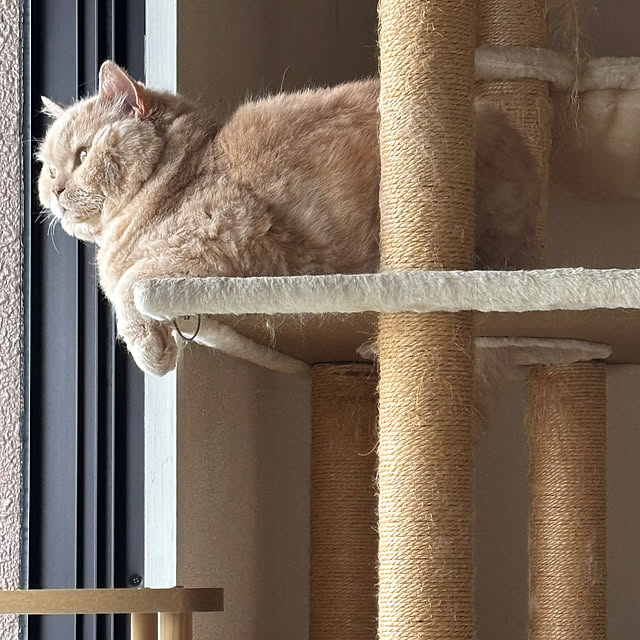 naokoさんの部屋