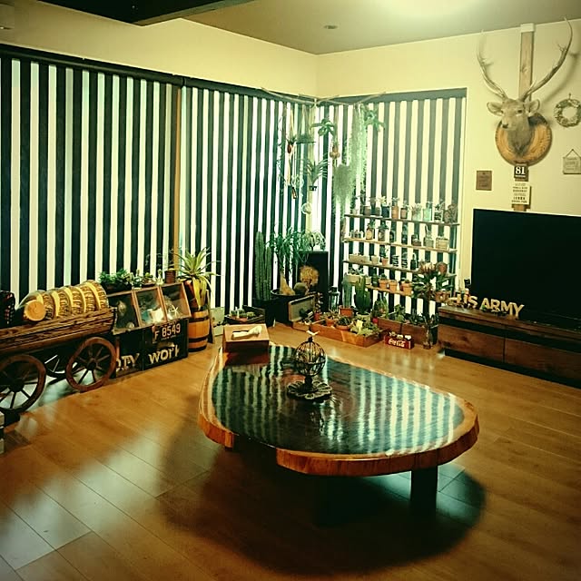 miccoさんの実例写真