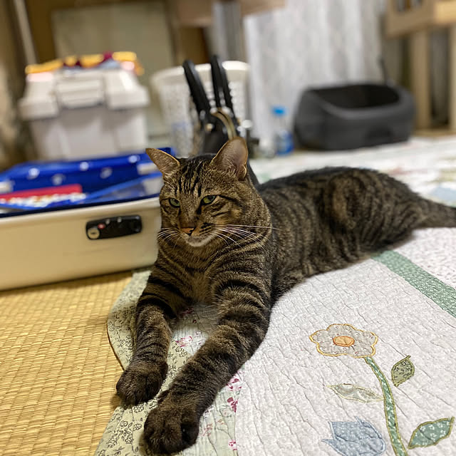 Rubyさんの実例写真