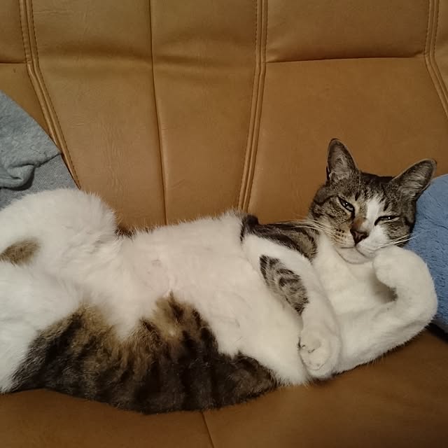 yumiさんの実例写真