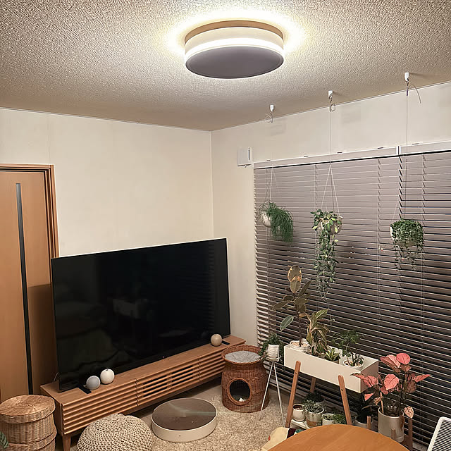 chinaさんの部屋