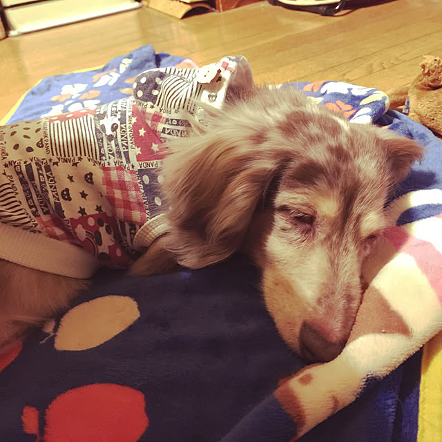 Eikoさんの実例写真