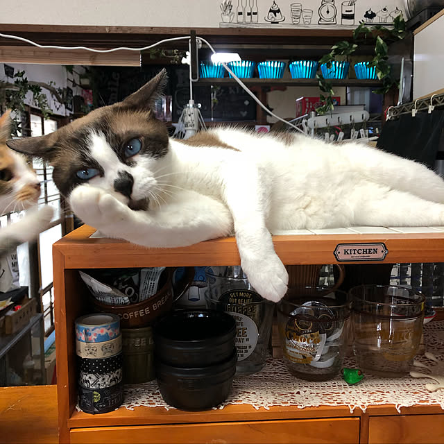 vivienne.coco-keiさんの実例写真