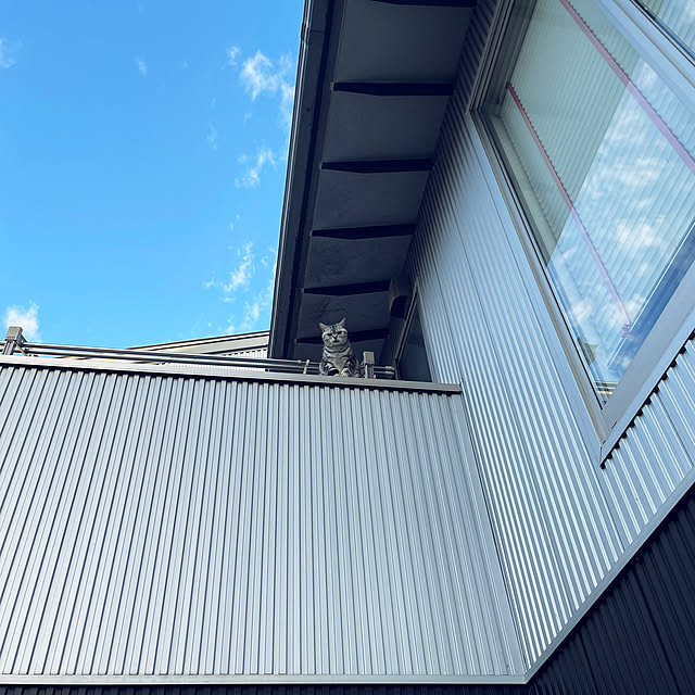 kiyozowさんの実例写真