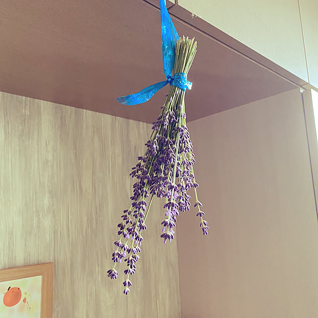 shunasoraさんの実例写真
