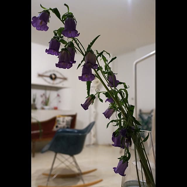 Design papa Ka-tuさんの実例写真
