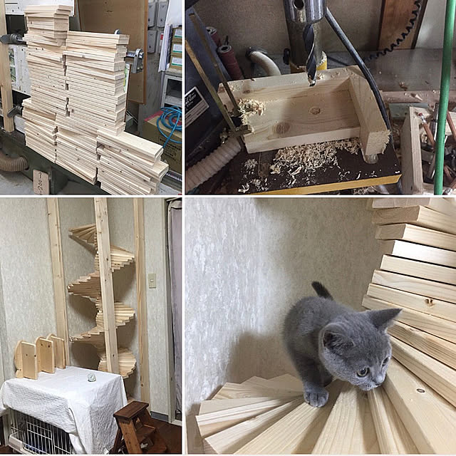 masaさんの実例写真