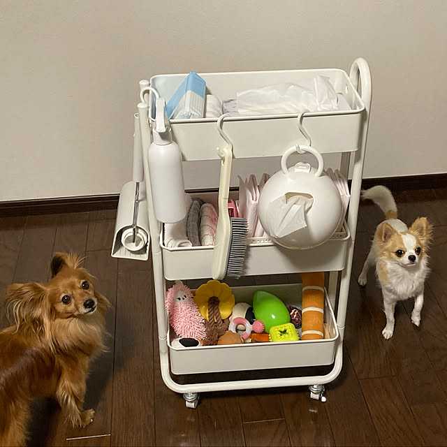 toratanさんの実例写真