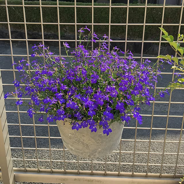 sanw2225719さんの実例写真
