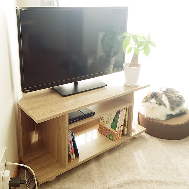 nekomaniaのニトリ-あぐらもかける厚型フロアクッション(モノBR 40R) の家具・インテリア写真