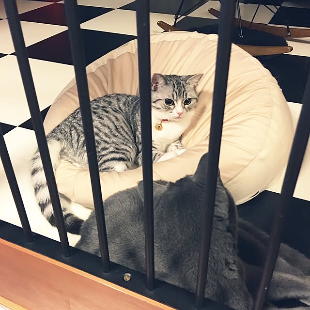 Shojiさんの実例写真