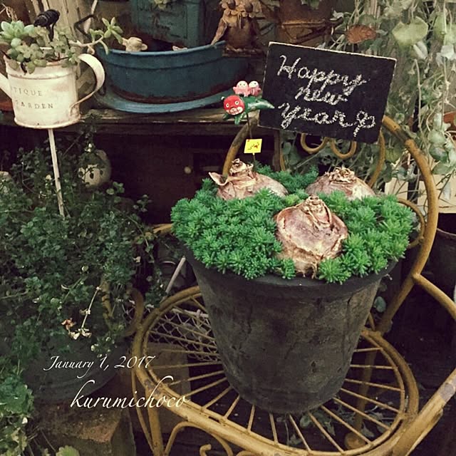 kurumichocoさんの実例写真