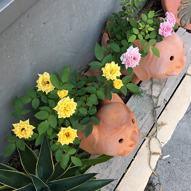 emiさんの実例写真