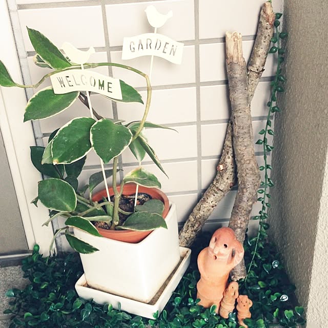 yodaさんの実例写真