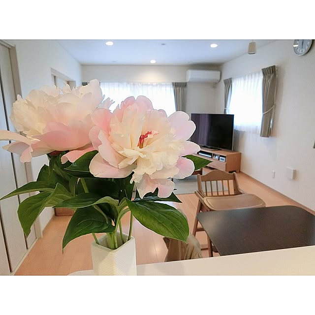 部屋全体/花のある暮らし/平屋のインテリア実例 - 2017-05-05 06:33:16