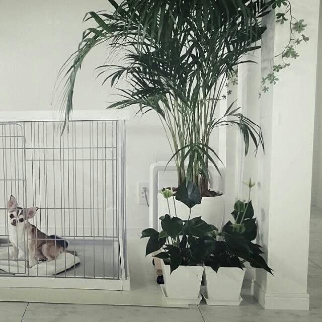 Nanaさんの実例写真