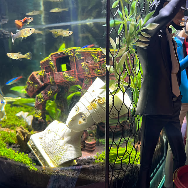 Ryotalyさんの実例写真