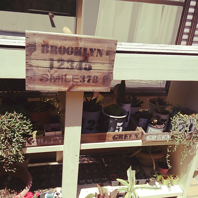 shs1019shsさんの実例写真
