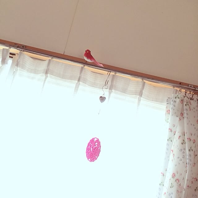 aiaiさんの実例写真