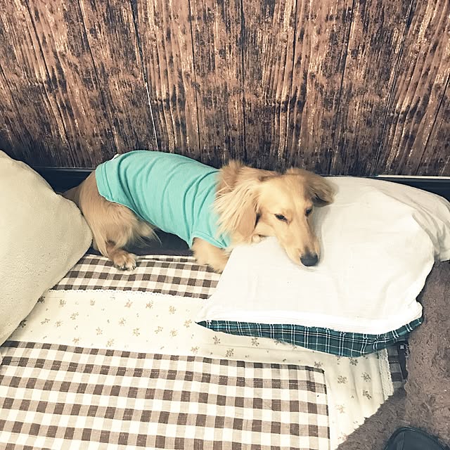 -Riley-mama.-さんの実例写真