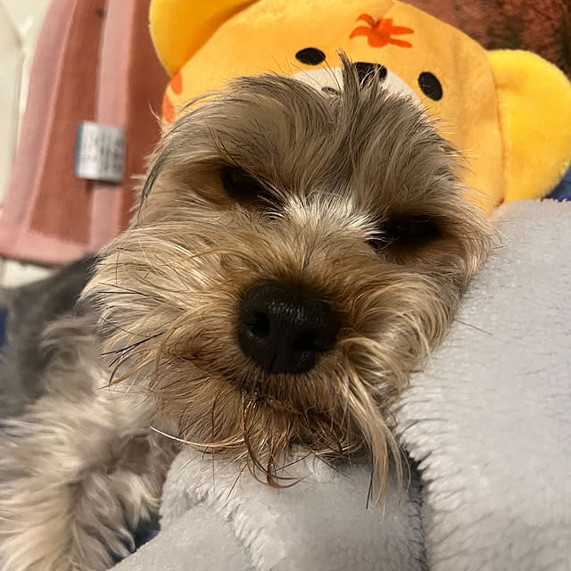 marikoさんの実例写真