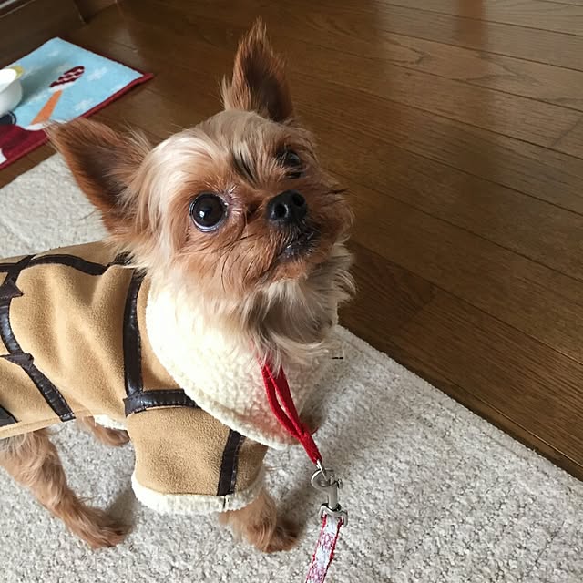 riku-papaさんの実例写真