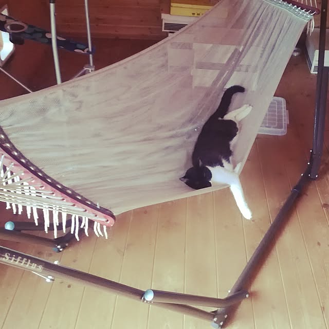 Maki-nekomamireさんの実例写真