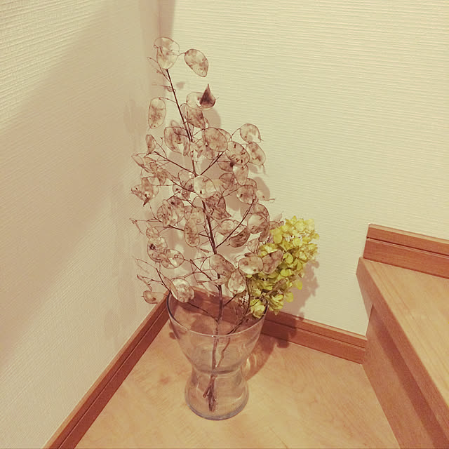Roseさんの実例写真