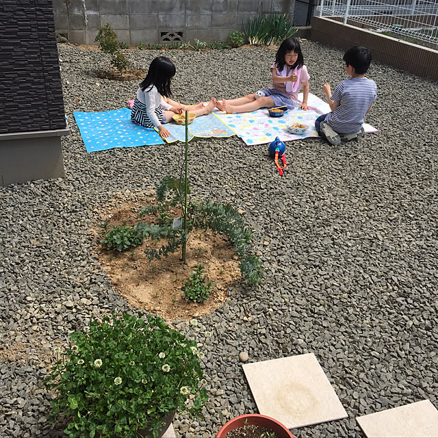 re_merryさんの実例写真