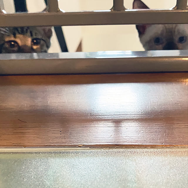 yosiさんの実例写真