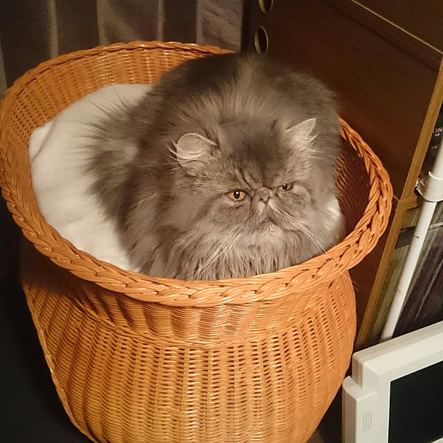 keiさんの実例写真