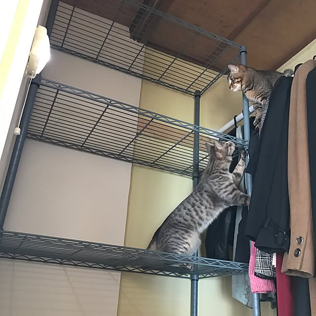 ma-ya-sunsunさんの実例写真