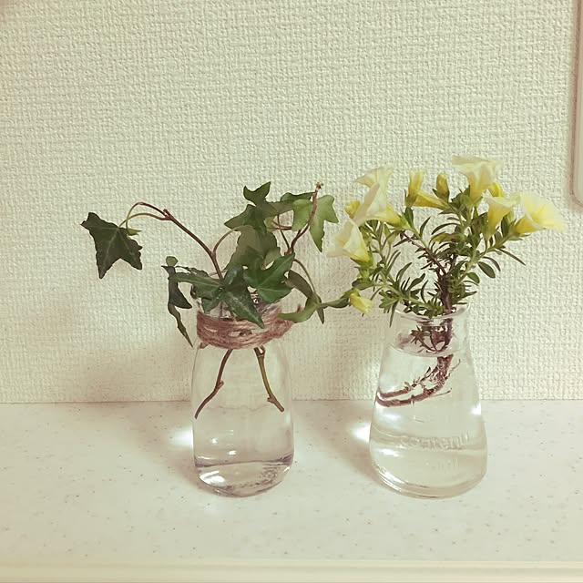chikaさんの実例写真