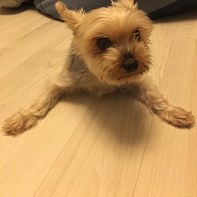 ohanaさんの実例写真