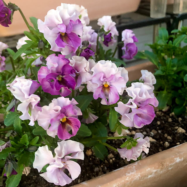 tomoさんの実例写真