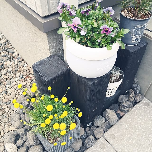 kaanaさんの実例写真