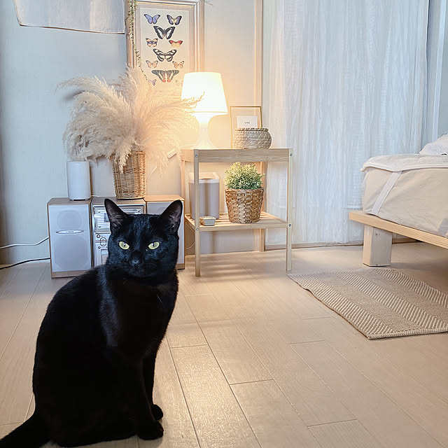 nekomiさんの部屋