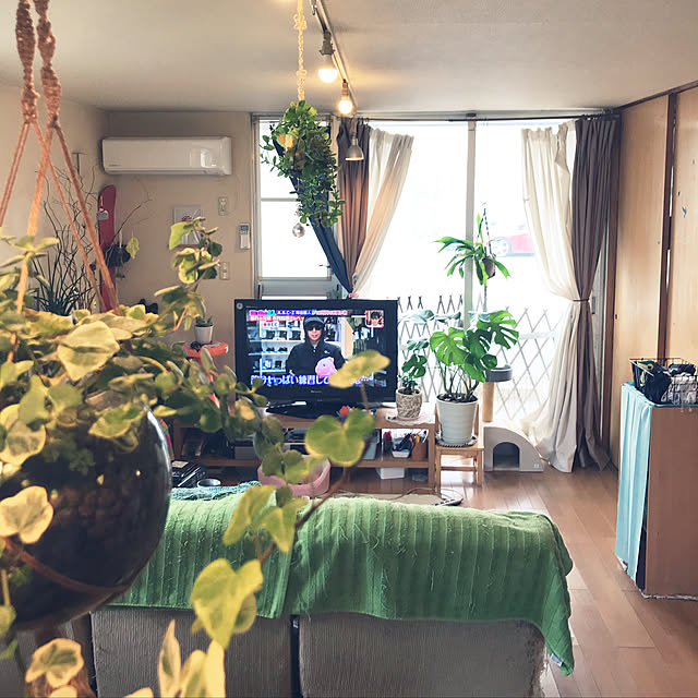 kou-kitiさんの実例写真