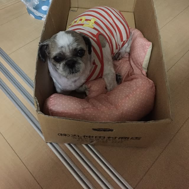 emiさんの実例写真