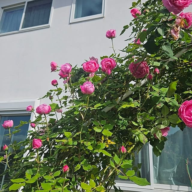 mayumiさんの部屋