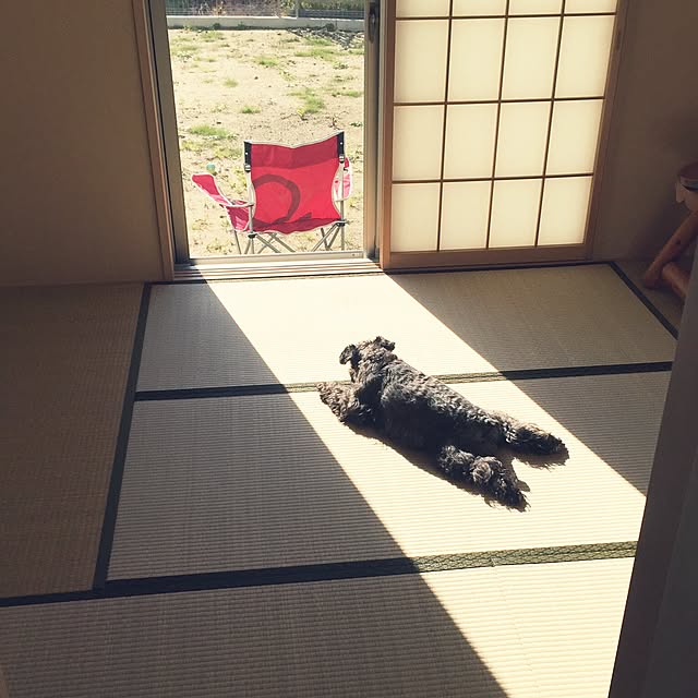 amiさんの実例写真