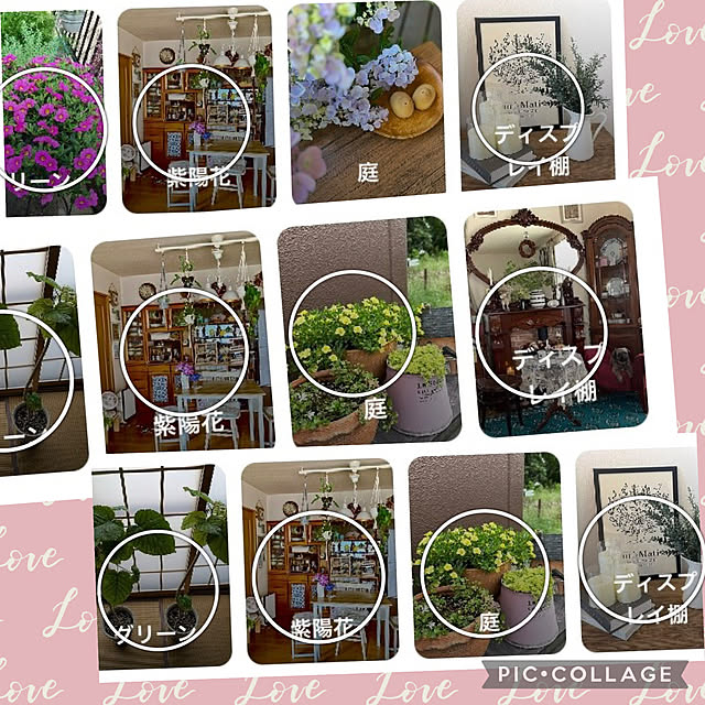 CoCo0617さんの実例写真
