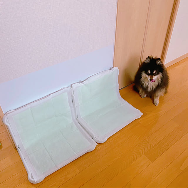 cocoさんの実例写真
