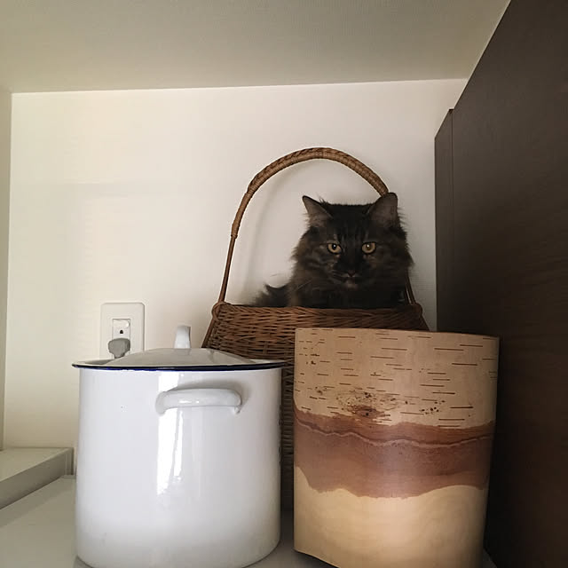 mikomaruさんの実例写真
