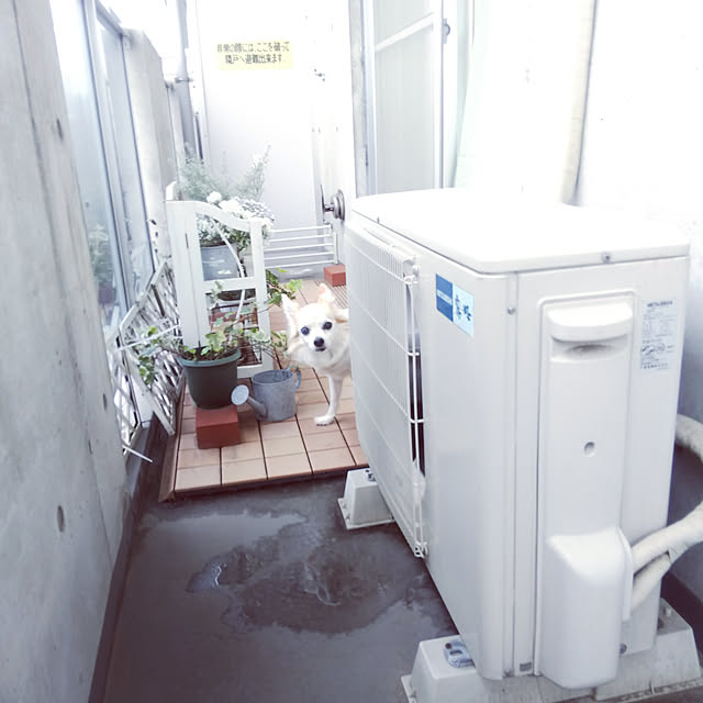 nonさんの実例写真