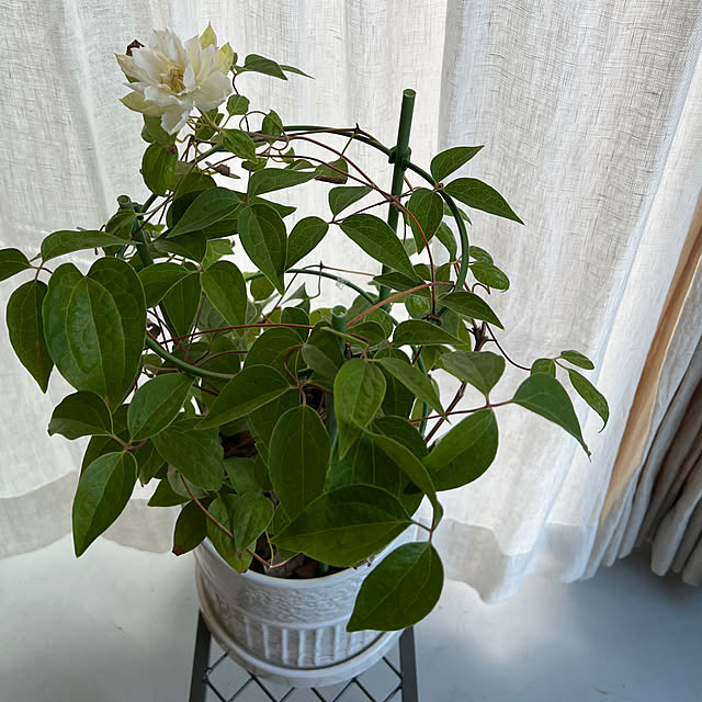 YUKINさんの部屋