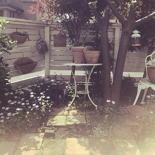 kokomoさんの実例写真