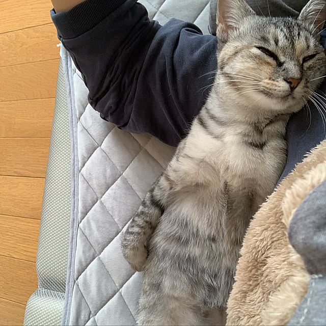 erichinさんの実例写真