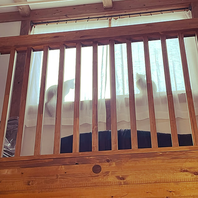 ebiさんの実例写真